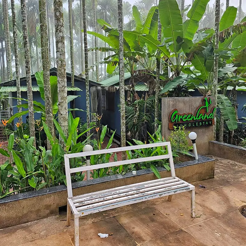 Greenland Junglestay Sitting Area