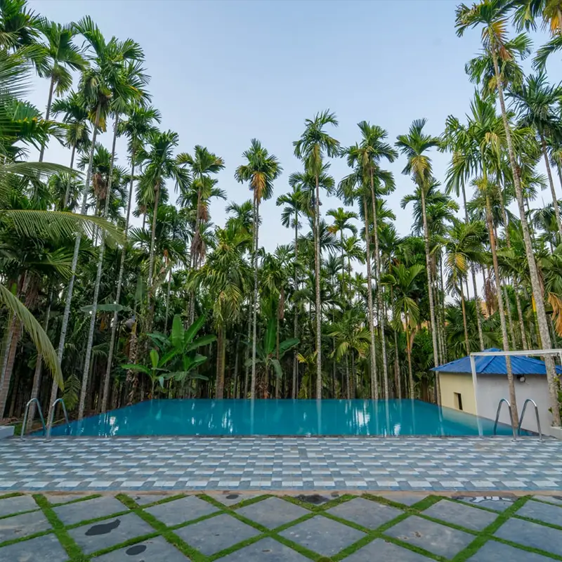 Infinity Junglestay Pool view