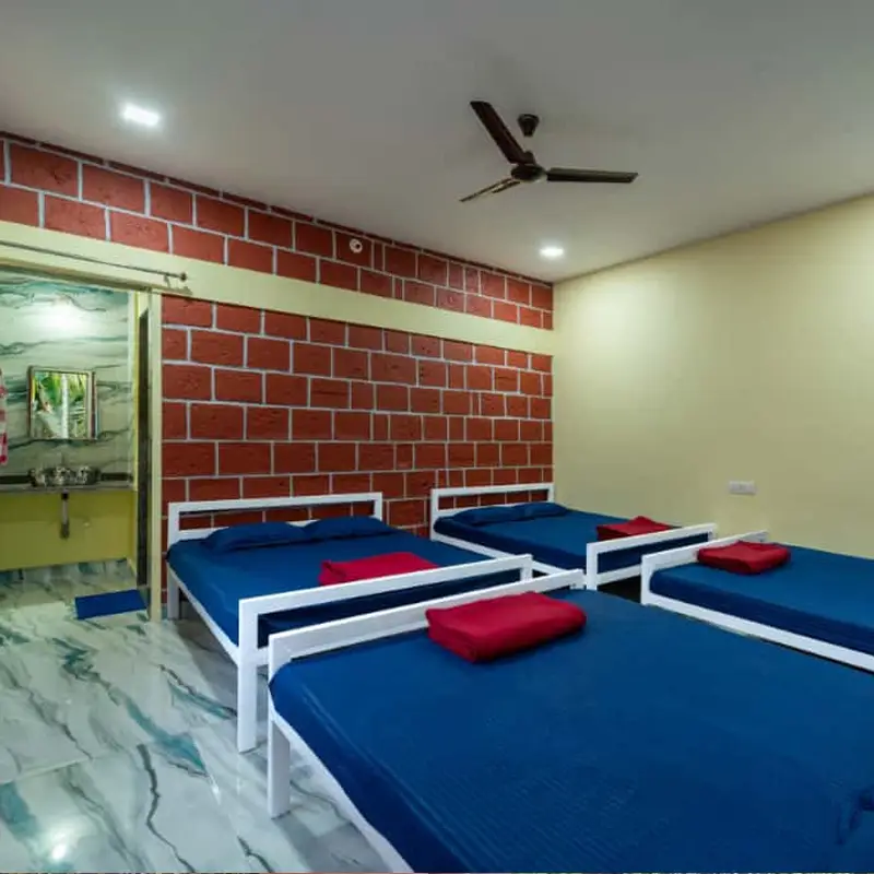 Infinity Junglestay family room