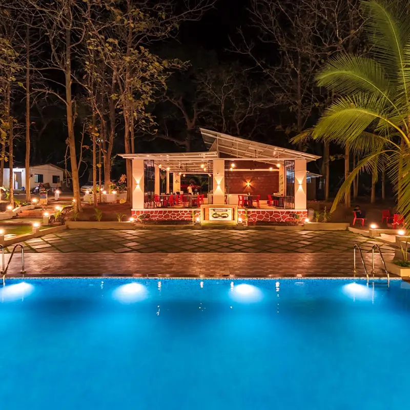 Infinity Junglestay pool in night