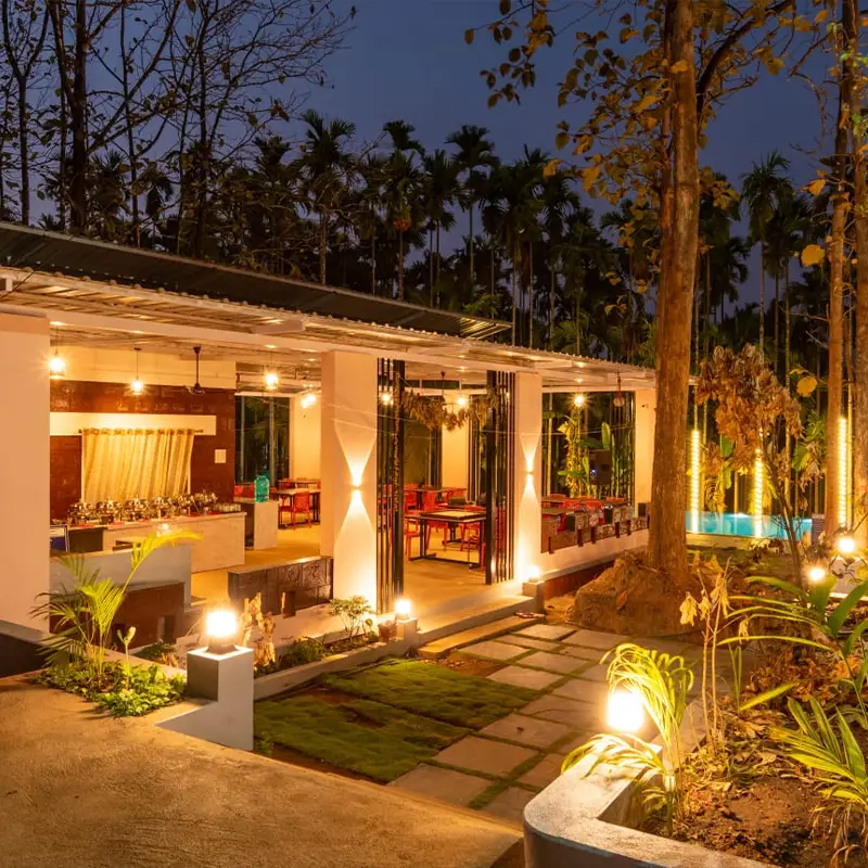 Infinity Junglestay