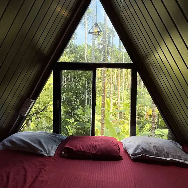 Old Brook Junglestay A Shape Interior