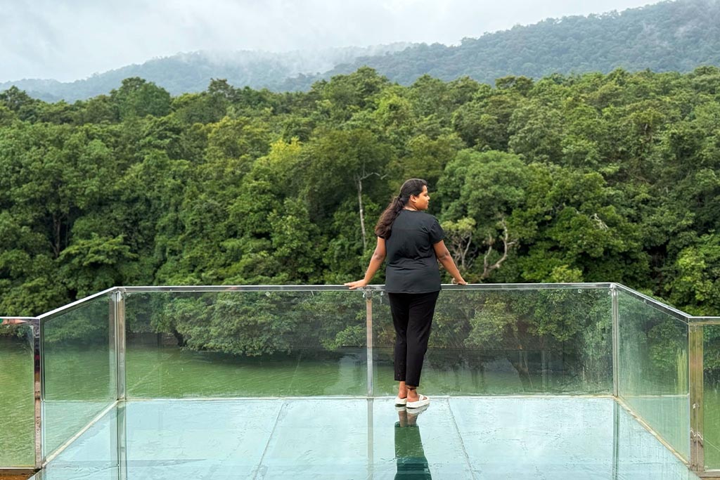 Dandeli Glass Bridge