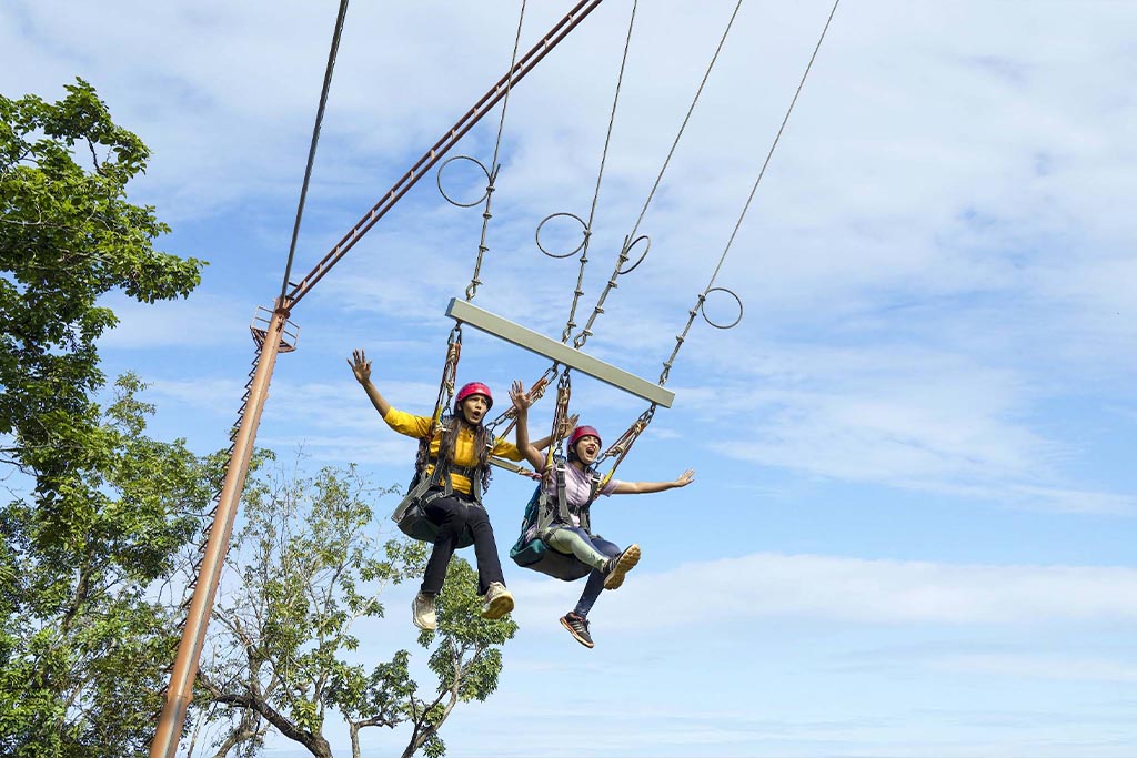 Gient Swing dandeli