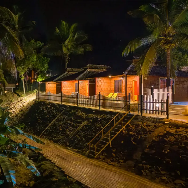 Pepper Paradise Night view