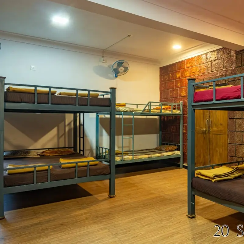 Pepper Paradise dorm