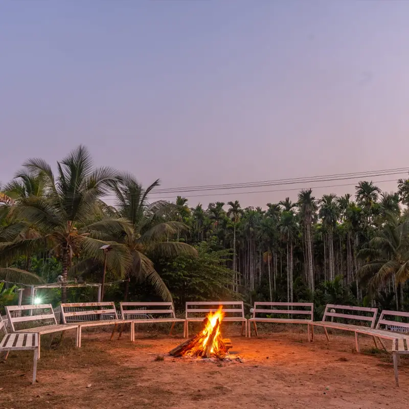Pepper Paradise fire camp