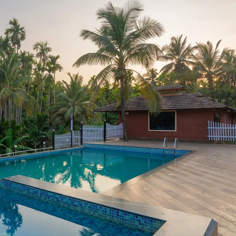 Pepper Paradise pool