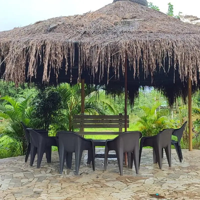 Green Valley Junglestay Garden