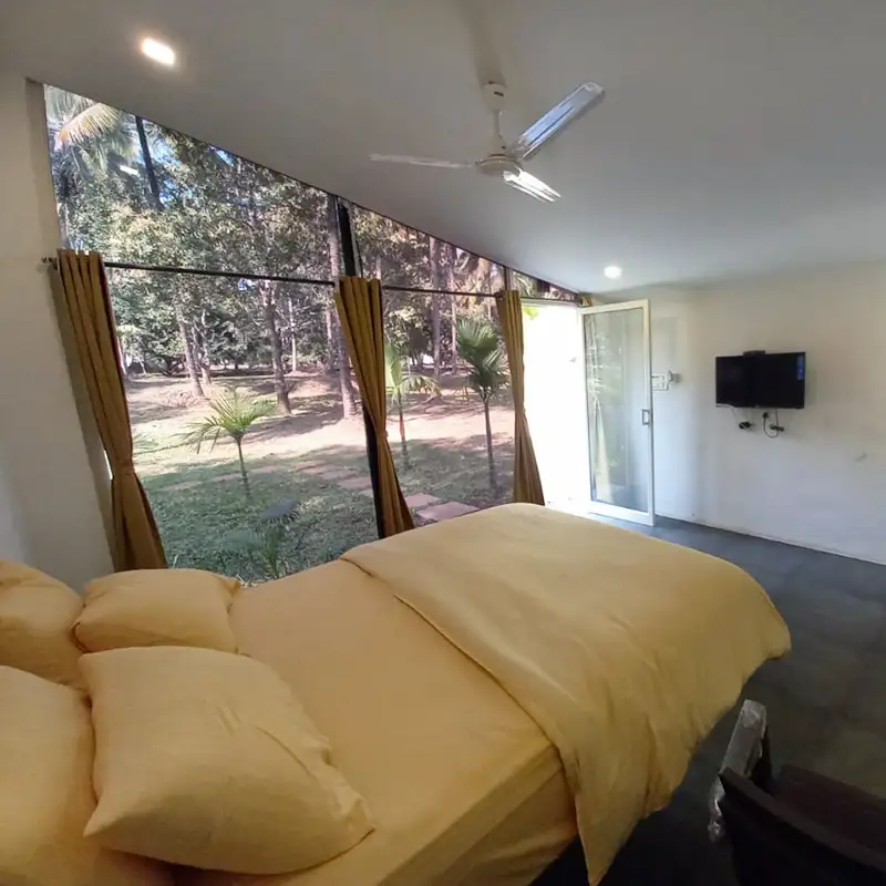 Wood Winds Couple Room Interior